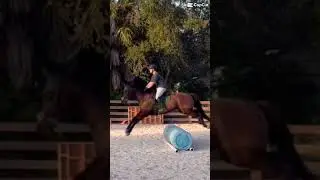Look how much she lifted her feet I can&rsquo;t get over it lol#horse #equestrianjourney #equestrian