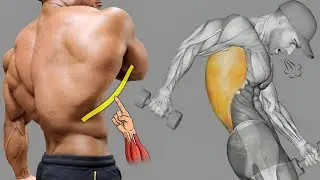 Complete back workout for width, thickness & strength 💪 Train smart, grow strong. 🦍 
