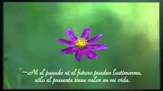 Los diez Principios de la Felicidad ~ Kwan Yin