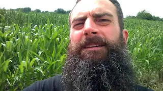 Corn Syrup Plants