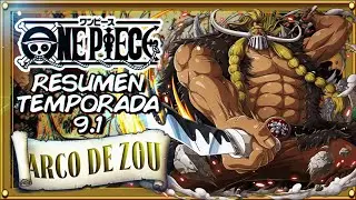 Resumen de temporada 9.1 One Piece | One piece en 20 minutos | Arco de Zou | Resumen &Eacute;pico