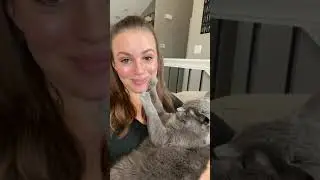 HistoryWithCats - First Footing Folklore