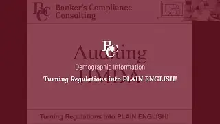 Auditing HMDA: Demographic Information