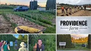 Providence Farm ministry video