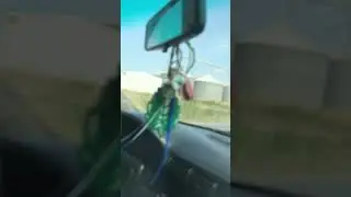 Το βουνο