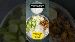 Breakfast,Lunch & Dinner options for a 3000 calorie diet plan #bulking #weightgaindiet #dietplan