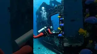 #fishing #underocean #marinemystery #marinelife #ocean #didyouknow  #scubadiving #treasure #wreck