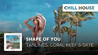 Chill Cover | Tanlines, Coral Reef & Skye - Shape of You