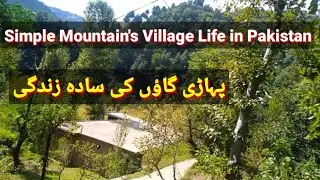 Forest greenery & valley view amazing scene | Pakistani simple village life|