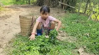 Episode 3 Year-Old Homeless Girl Building a Bamboo House Alone in the Forest - Living off the grid