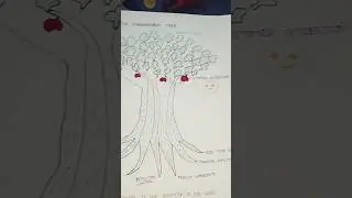 My drwoung#Quality tree🌲 Quality month poster2025 #trending #@airygdevbhoomiuk05 #qualitygroup