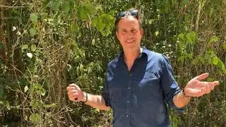 WakahChan Verkrijgt Exclusiviteit voor Holistisch Dorp in Playa Del Carmen
