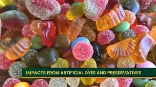 Impacts of Artificial Dyes, Chemical Preservatives, and Ultra Processed Foods with Dr. Jodi Nishida