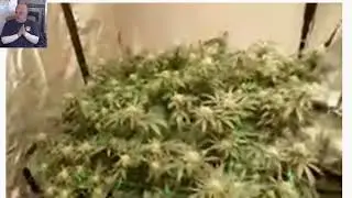 @gavin dempster grow boss response video MUST WATCH