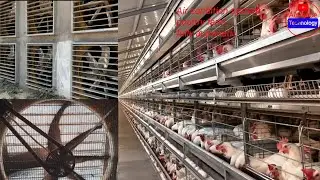 Layer poultry farming business | full automatic layer poultry farm | battery cage | Egg production.