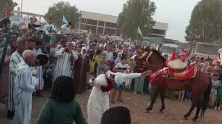 موالين الحال الطايح كثر من النايض مع ولاد جامع بمهرجان تيفلت
