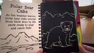 Trace-Along Scratch and Sketch Furry Friends Art Activity Book REVIEW