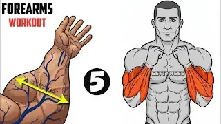 5 Must-Do Exercises For Huge, Massive Forearms | 100% Effective Growth Guide