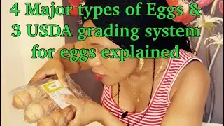 4 Major types of Eggs& 3 USDA grading system explained.How to know healthiest eggs 4 consumption🥚🥚