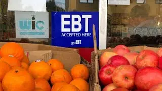 Missouri&rsquo;s food stamps program was unlawfully inaccessible, federal court rules
