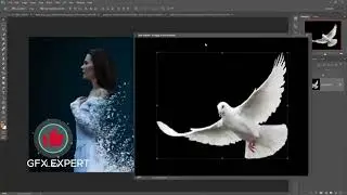 Bird dispersion photoshop effect | photoshop tutorial cc Adobe photoshop in 2024