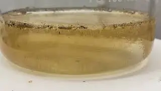 Wet peroxide oxidation (WPO)