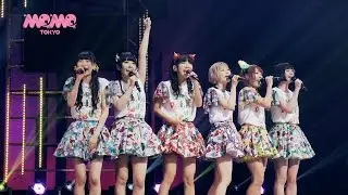 でんぱ組.inc「GOGO DEMPA TOUR 2016」 LIVE Blu-ray & DVD Trailer