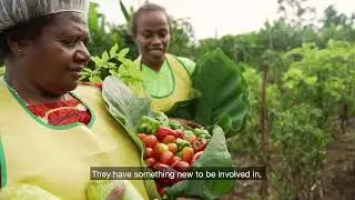Farm to Hospital Initiative