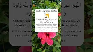 Dua for Forgiveness of all Sins 🤲🌺