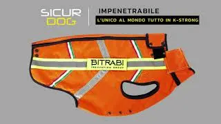 BITRABI SICUR DOG - Il corpetto da caccia antizanna in K-STRONG // ITA