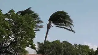 60mph Trade Winds - Hawaii March 9, 2010