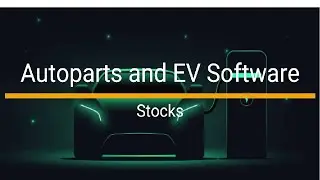 EV Autoparts and Software Stocks