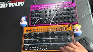 Behringer Crave + Edge(1)