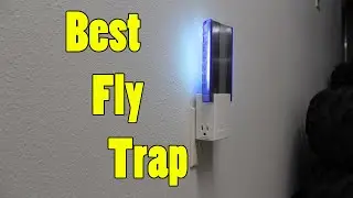 Best Fly Trap Ever?! DynaTrap Flylight Insect Trap