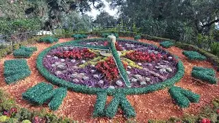 As&iacute; est&aacute; el reloj floral de Parque 9 de Julio en Tucum&aacute;n