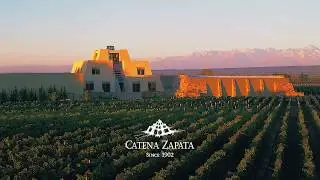 CATENA ZAPATA │ N&ordm; 1 THE WORLD'S MOST ADMIRED │ WINE BRAND 2020 │ DRINKS INTERNATIONAL