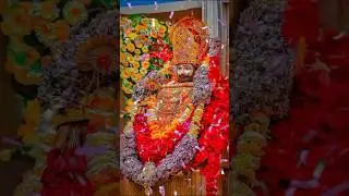 तूने होठों पर बिखेरी मुस्कान सांवरे कैसे भूलूंगा तेरा अहसान सांवरे ❣️#khatunaresh #shyamkripa