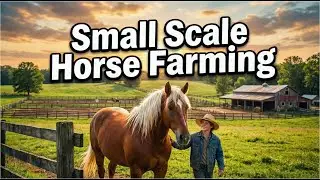 Small Scale Horse Farming: Raise Horses for Pleasure, Profit & Purpose on Limited Acreage!