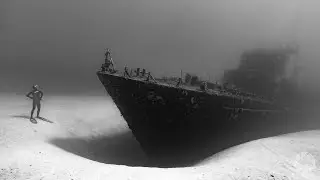 Free Diving Photography with Alastair Scarlett: Capture the Action with Martin Dorey
