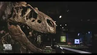 Cretaceous Crossroads