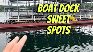 The Exact Spot On Boat Docks Where The Big Fish Live