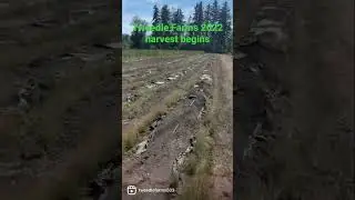Tweedle Farms 2022 harvest begins