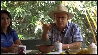 INTA -  Café -  Café especial Dipilto