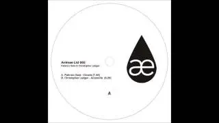 Christopher Ledger - Anastrofe [Animae002]