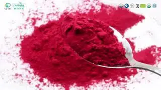 Blackcurrant fruit powder Organic Fruit Juice Powder Food Beverage