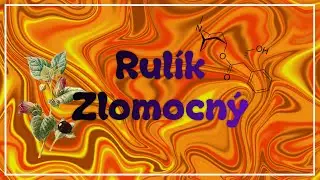 Rulík Zlomocný