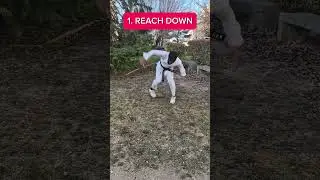 ROBBY KEENE CARTWHEEL KICKTUTORIAL #cobrakai #kick #mma #tutorial #kickboxing #robbykeene #tricks