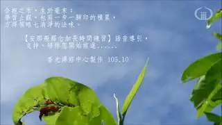 【安那般那念加長時間練習】語音導引