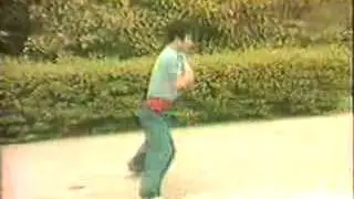 Fujian Luohan 18 Hands