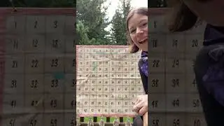 Strategies for the hundred chart (p1)